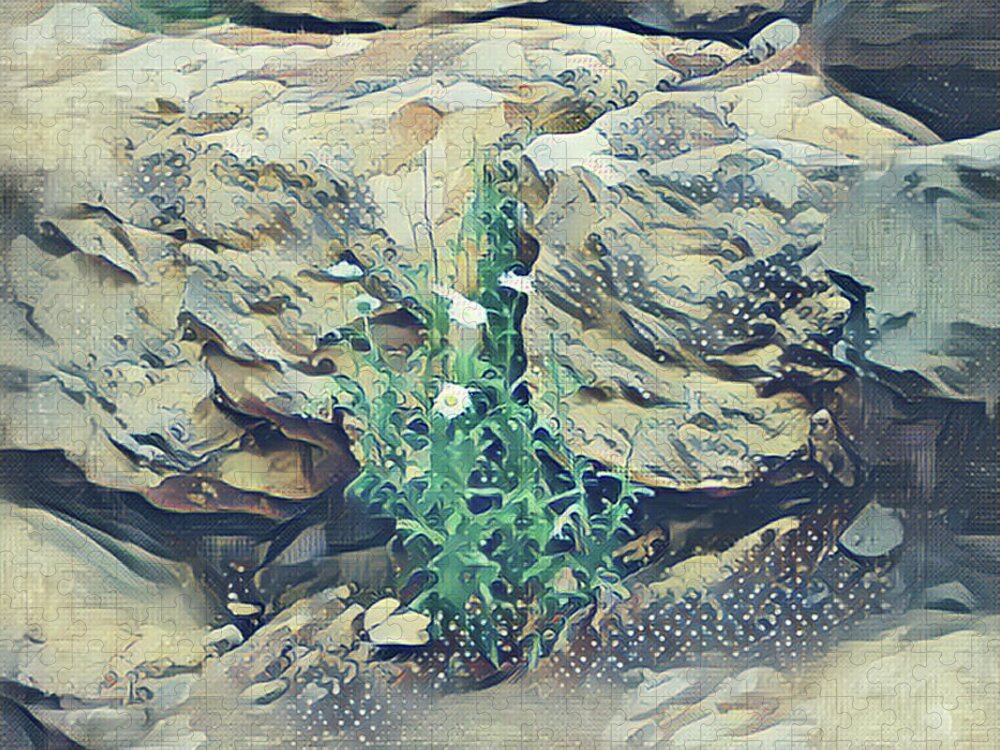 Daisies Jigsaw Puzzle featuring the mixed media Daisies in the Boulders by Christopher Reed