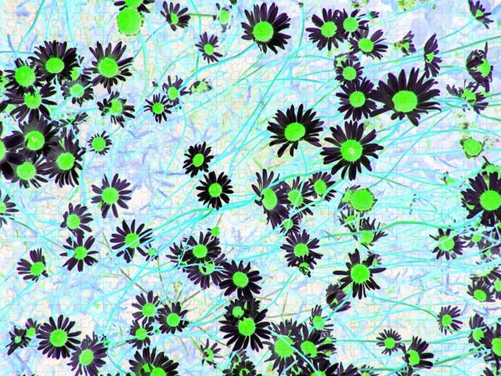 Daisies Jigsaw Puzzle featuring the photograph Daisies of Green by Missy Joy
