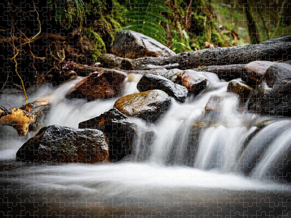 Brook Jigsaw Puzzle featuring the photograph Dam that river... by Gavin Lewis