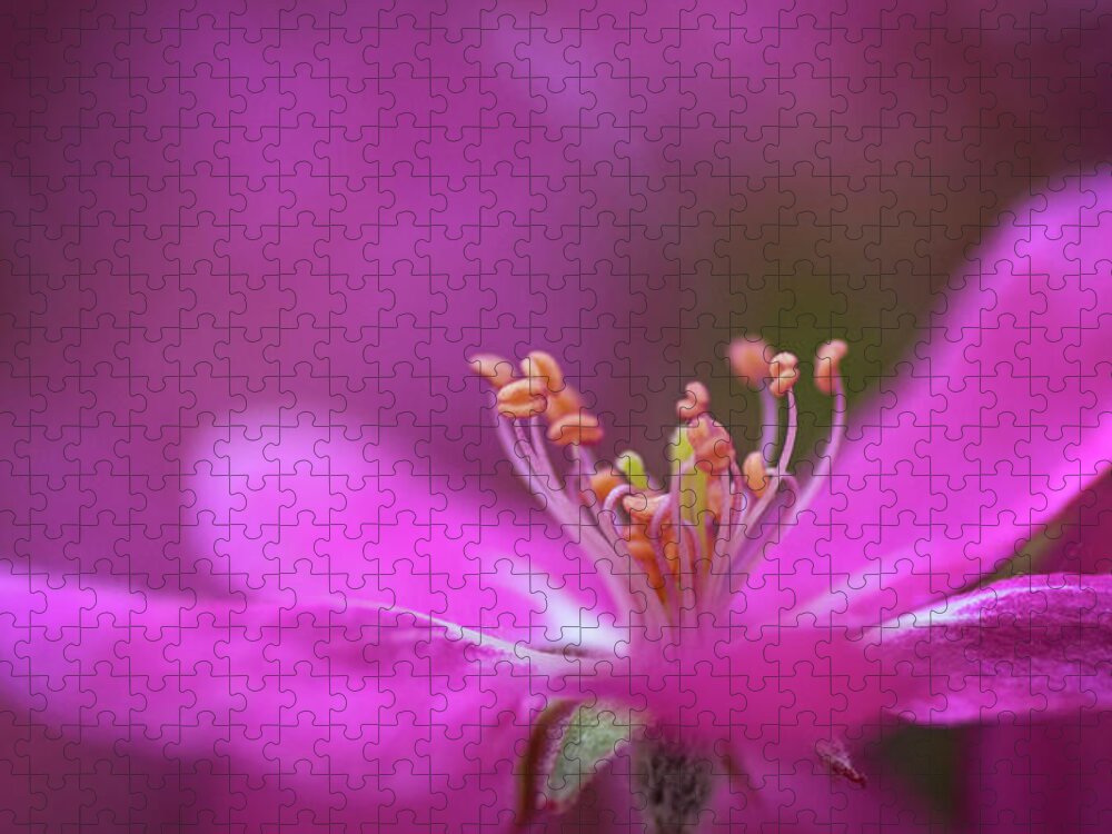 Pink Jigsaw Puzzle featuring the photograph Dancing In Pink by Pamela Dunn-Parrish