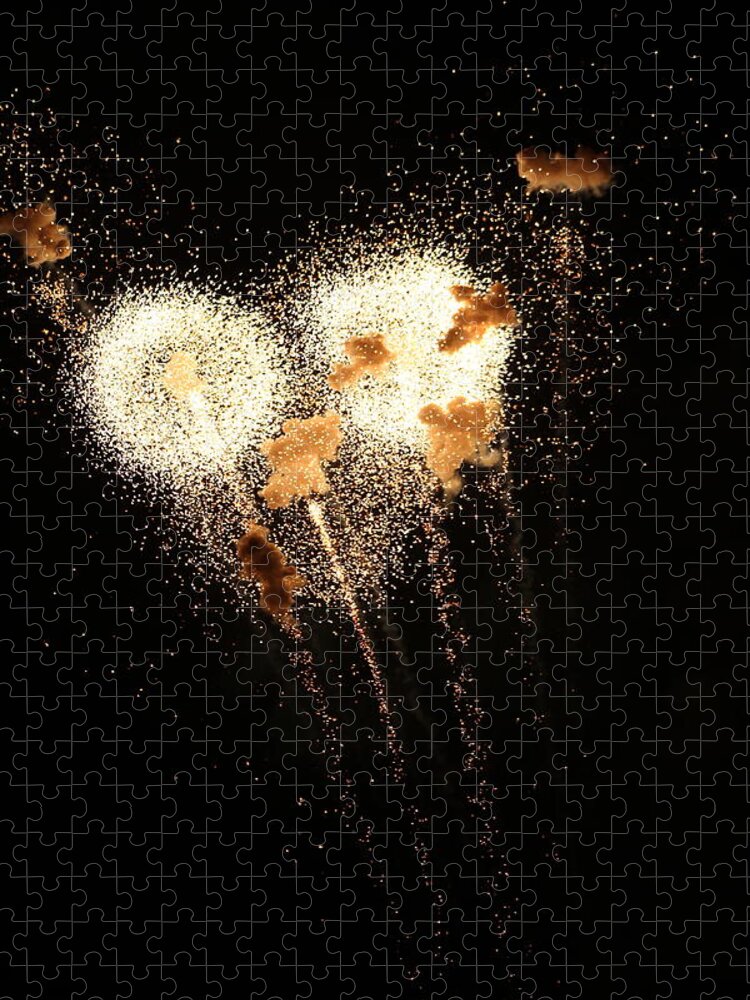 Jane Ford Jigsaw Puzzle featuring the photograph Dandelion Fireworks by Jane Ford