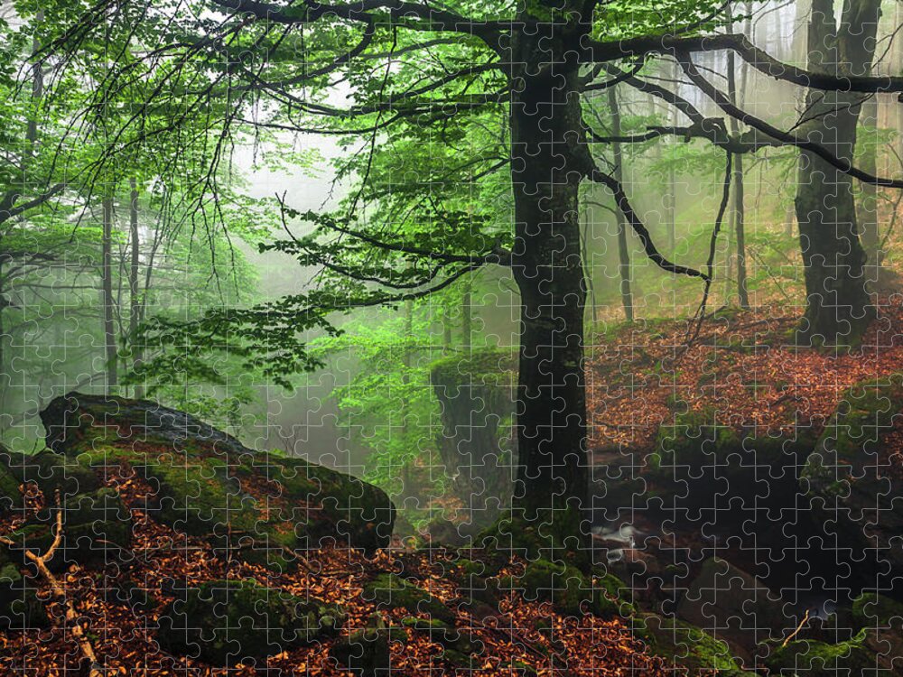 Fog Jigsaw Puzzle featuring the photograph Dark Forest by Evgeni Dinev