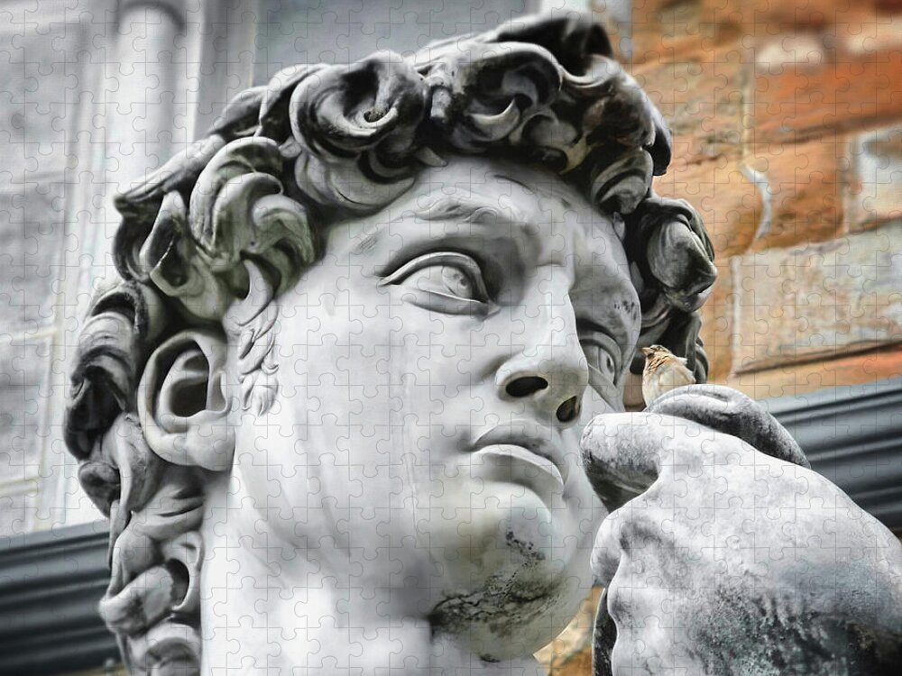 David Jigsaw Puzzle featuring the photograph David by Michelangelo Florence Italy Face Detail   by Carol Japp