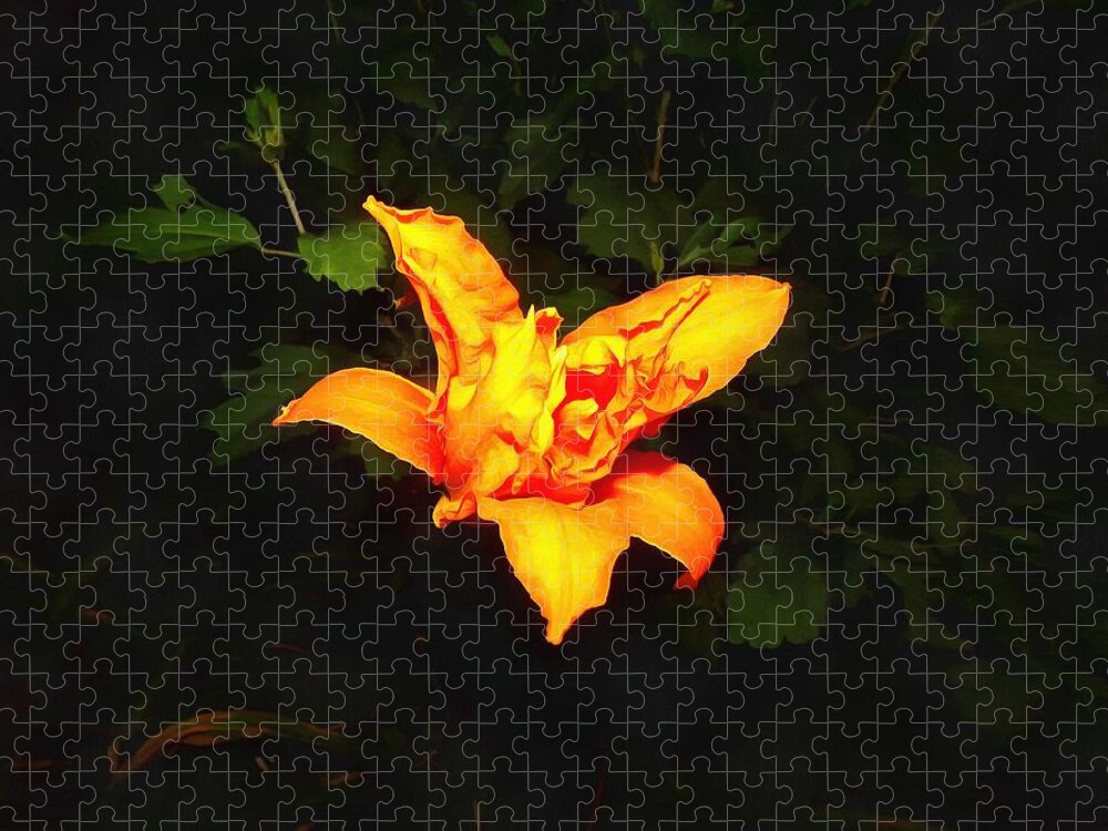 Daylily Jigsaw Puzzle featuring the photograph Daylily at Night by Christopher Reed