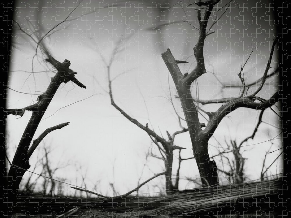 Black And White Jigsaw Puzzle featuring the digital art Dead Wood Collection Pinhole Image by YoPedro