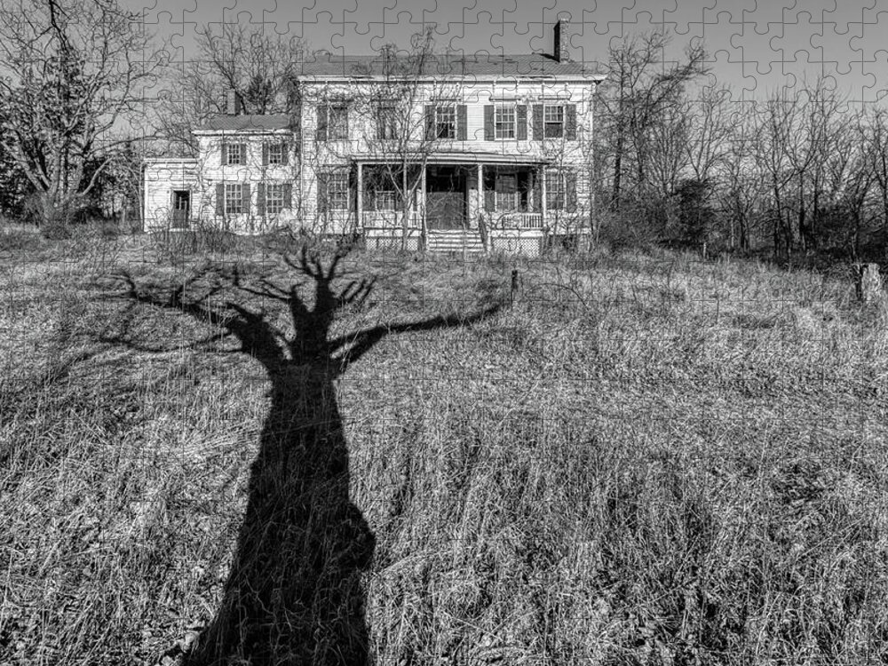 Voorhees Farm Jigsaw Puzzle featuring the photograph Death Tree by David Letts