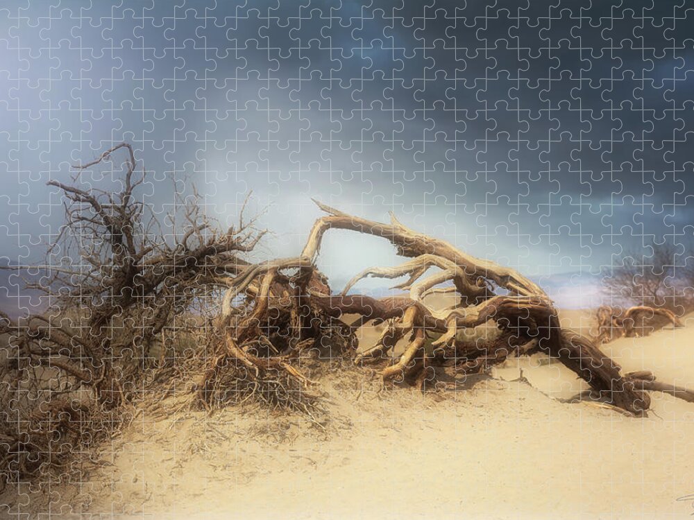 Desert Jigsaw Puzzle featuring the photograph Death Valley Dunes by Evie Carrier