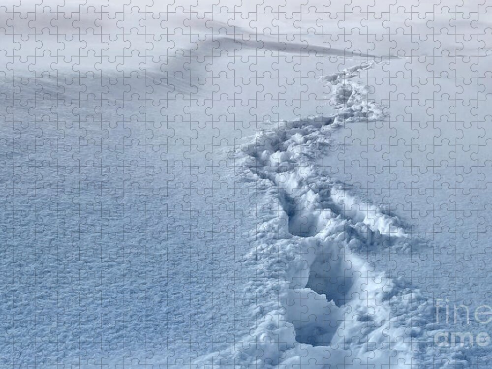 Deep Snow Jigsaw Puzzle featuring the photograph DEEP SNOW, getting dark by Tatiana Bogracheva
