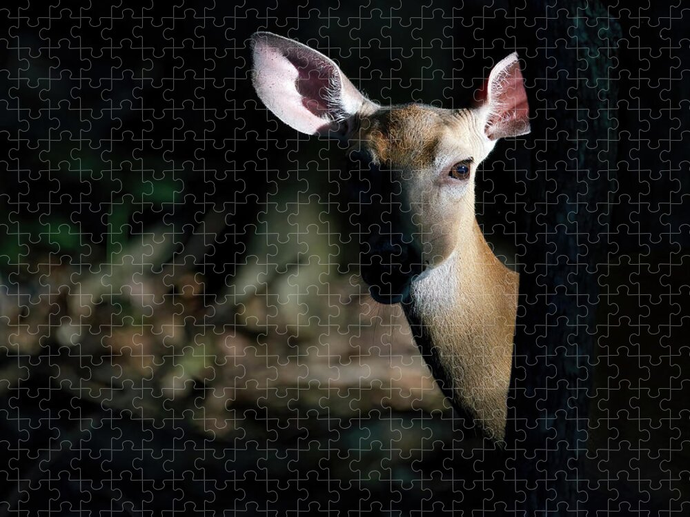 Deer Jigsaw Puzzle featuring the photograph Deer Behind a Tree by Flinn Hackett