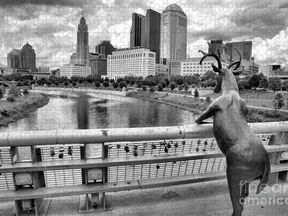 Rich Jigsaw Puzzle featuring the photograph Deer On The Rich Street Bridge Black And White by Adam Jewell