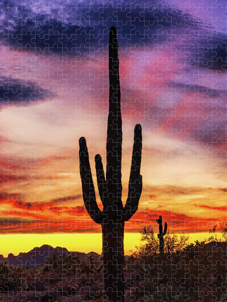 Arizona Jigsaw Puzzle featuring the photograph Desert Musings by Rick Furmanek
