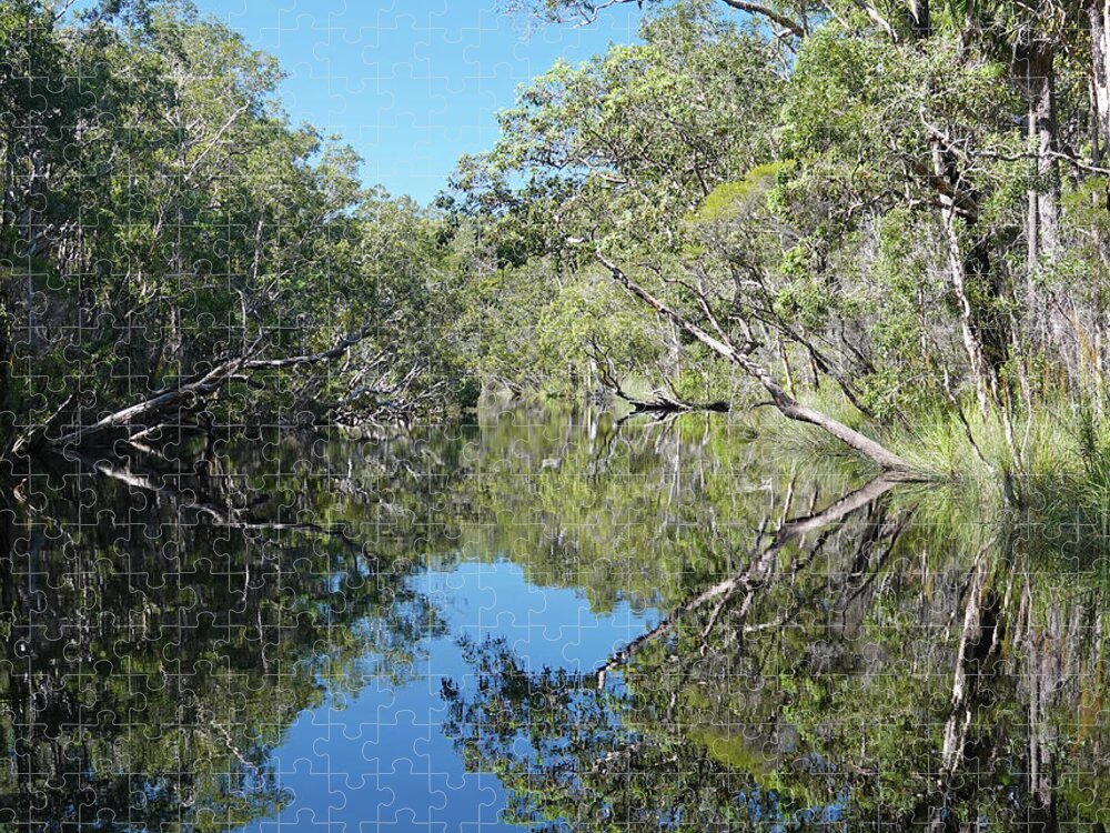Landscape Jigsaw Puzzle featuring the photograph Diamond of the Everglades by Maryse Jansen