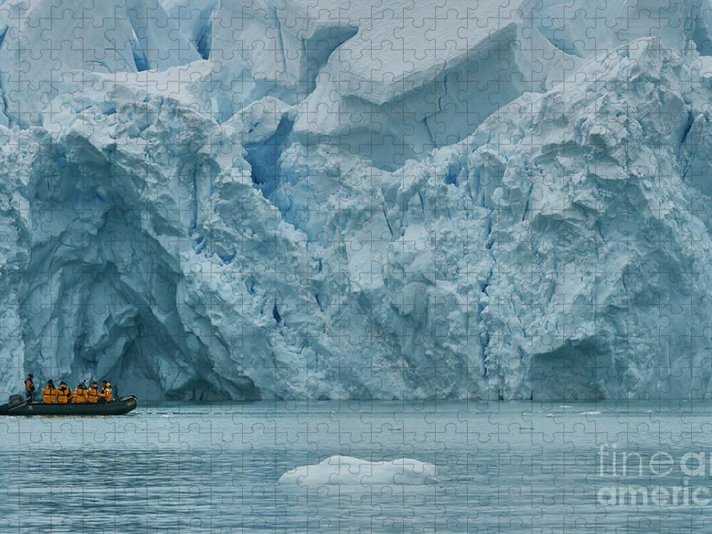 Antarctica Jigsaw Puzzle featuring the photograph Diminutive by Brian Kamprath