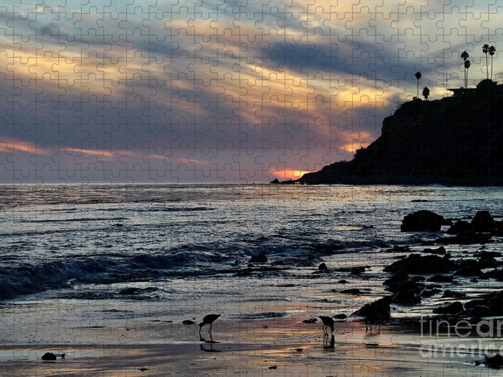 Birds Jigsaw Puzzle featuring the photograph Dinner Time on the Shore by Katherine Erickson
