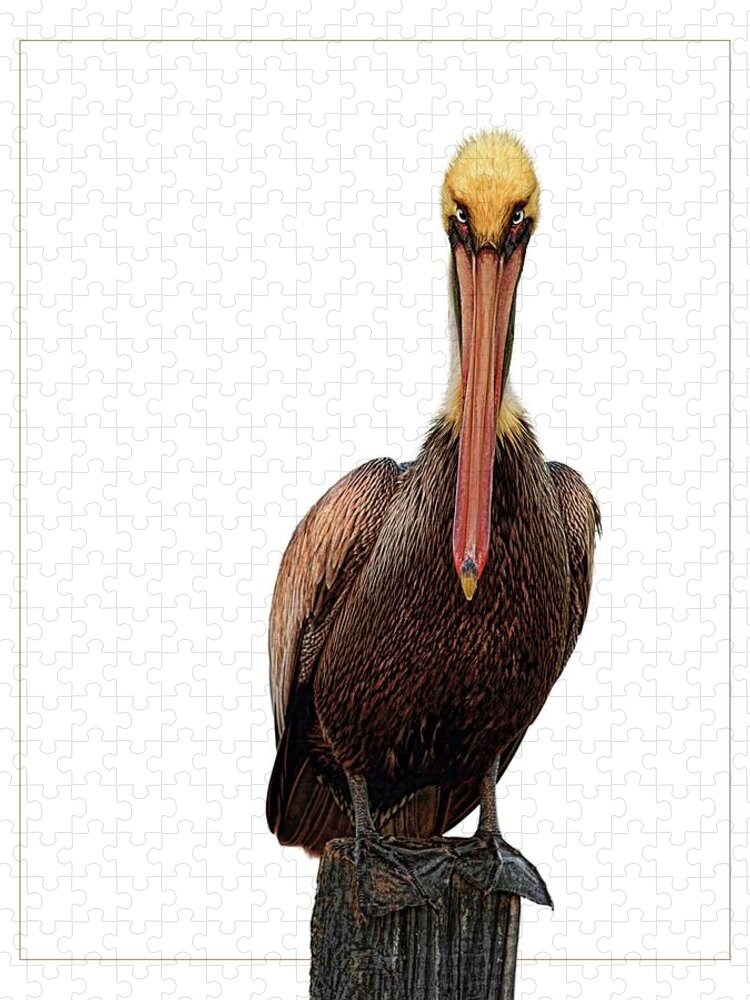 Pelican Jigsaw Puzzle featuring the digital art Disapproving Pelican by Brad Barton