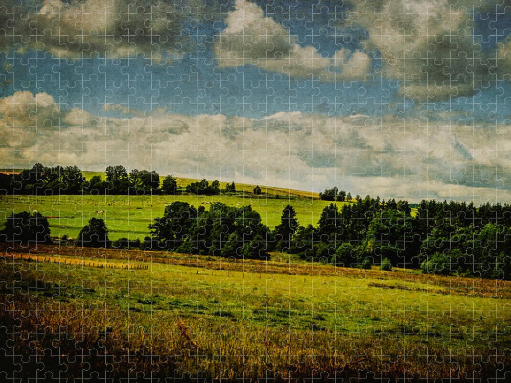 Land Jigsaw Puzzle featuring the photograph Diving into green by Yasmina Baggili