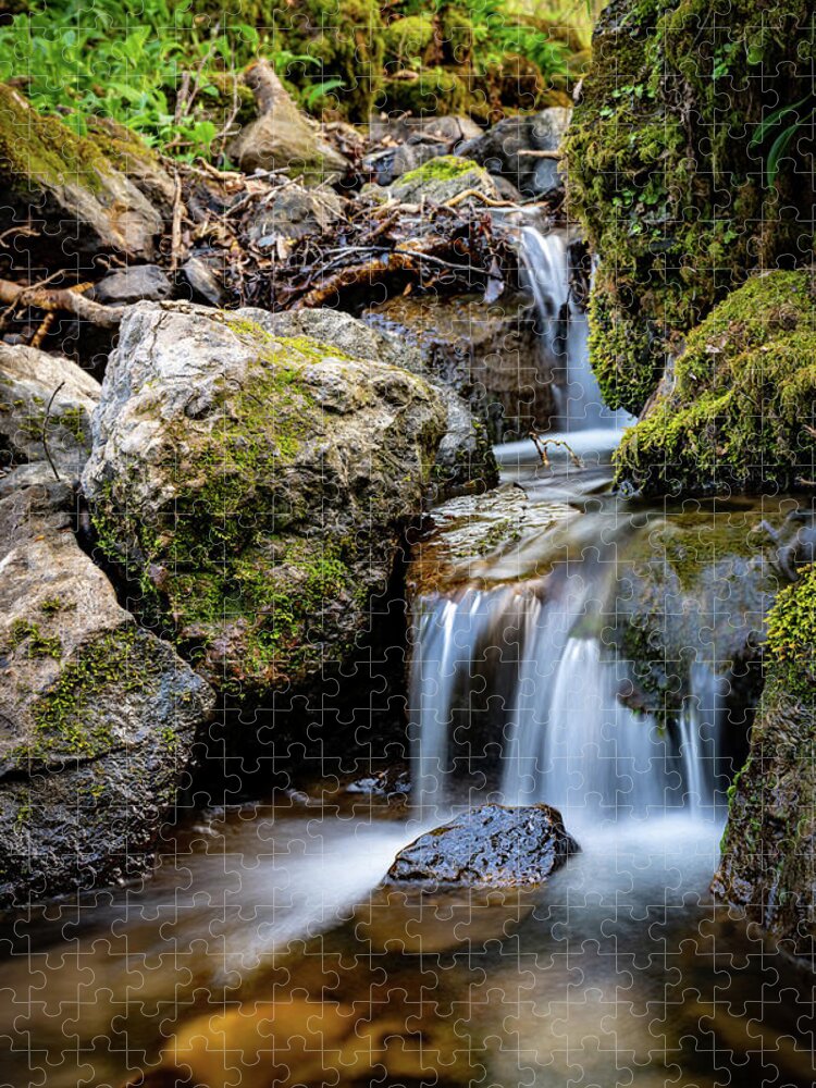 Stream Jigsaw Puzzle featuring the photograph Down from the mountain by Gavin Lewis