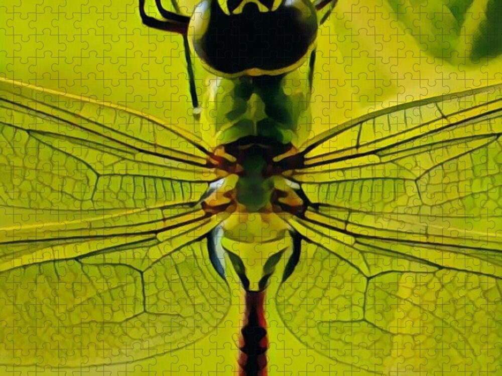Insect Jigsaw Puzzle featuring the painting Dragon Fly by Marilyn Smith