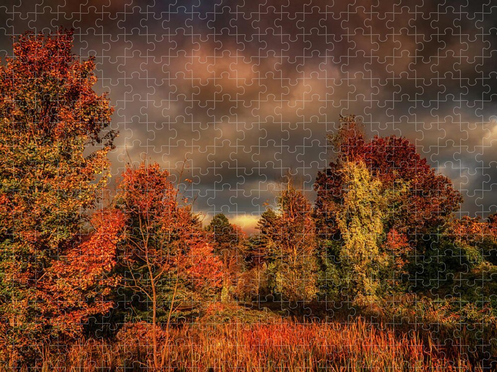Foliage Jigsaw Puzzle featuring the photograph Dramatic Autumn sky landscape by Lilia D