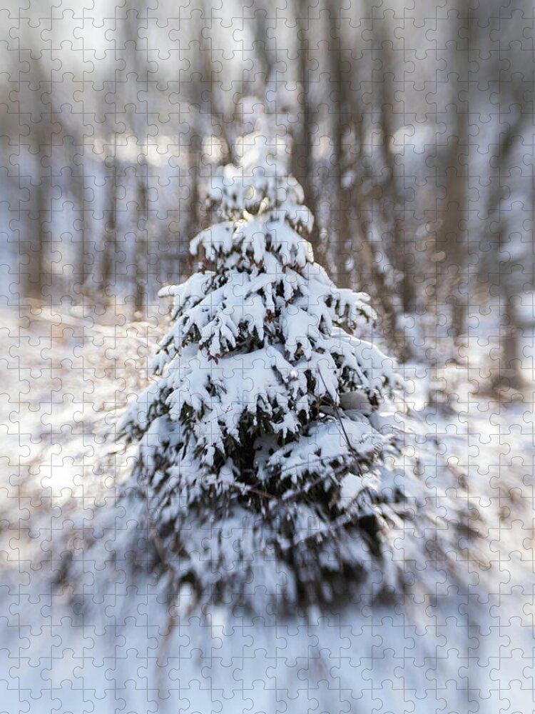 #evergreen #pinetree #snowcoveredevergreen #christmastree #woodlandtree #naturepreserve #evergreeninwinter Jigsaw Puzzle featuring the photograph Dreamy Evergreen by Kimberly Mackowski