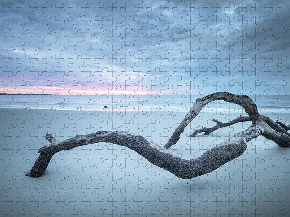 Driftwood Beach Jigsaw Puzzle featuring the photograph Driftwood At Blue Hour by Jordan Hill