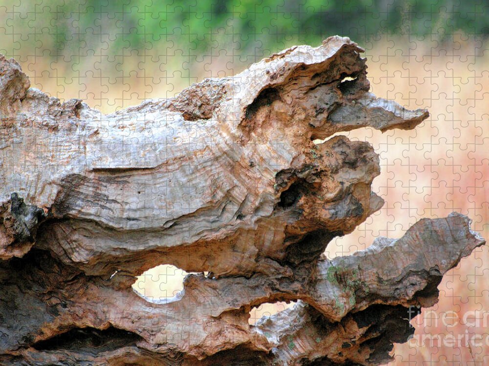 Nature Jigsaw Puzzle featuring the photograph Driftwood Creature by Ellen Cotton
