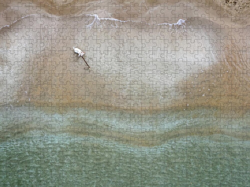 Animal Running Jigsaw Puzzle featuring the photograph Drone aerial of white Dog running and playing at empty sandy beach by Michalakis Ppalis