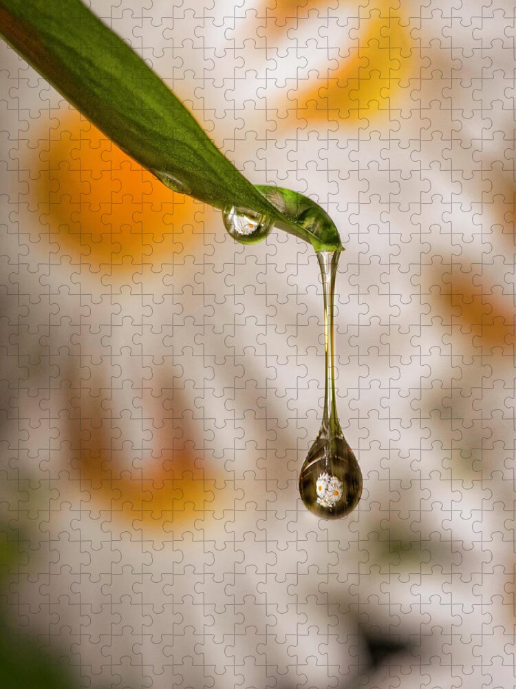 Drop Jigsaw Puzzle featuring the photograph Drop Reflection by Pete Rems