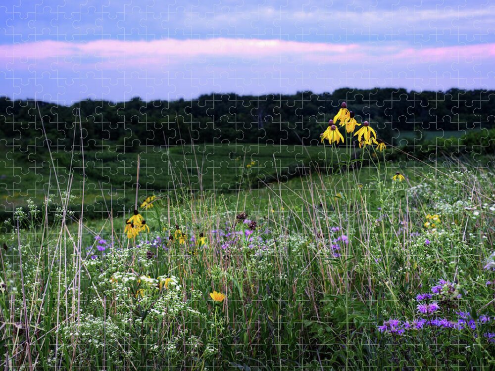 Coneflower Jigsaw Puzzle featuring the photograph Drumlin Dreamin' - Summer wildflowers on WI drumlin hillside by Peter Herman