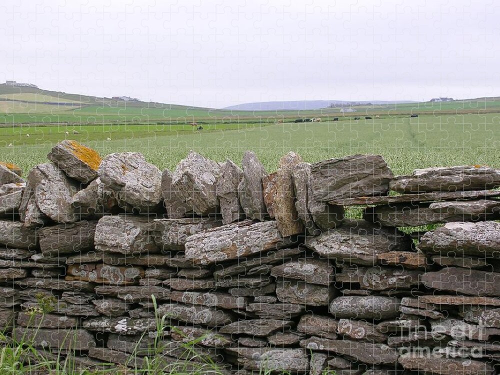 Stone Wall Jigsaw Puzzle featuring the photograph Dry Stone Walling - Orkney UK by Lesley Evered