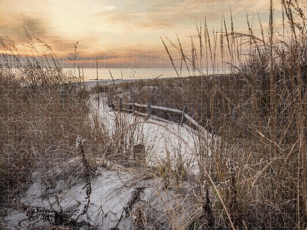 Cape May Jigsaw Puzzle featuring the photograph Dune Trail by Kristopher Schoenleber