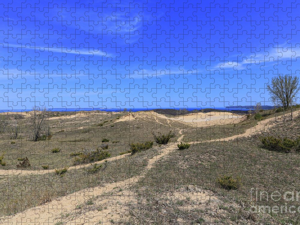 Dune Trails Jigsaw Puzzle featuring the photograph Dune Trails by Rachel Cohen