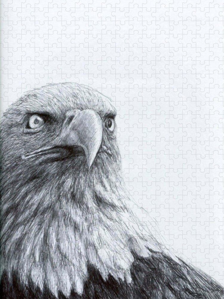 Bald Eagle Jigsaw Puzzle featuring the drawing Eagle Eye by Rick Hansen