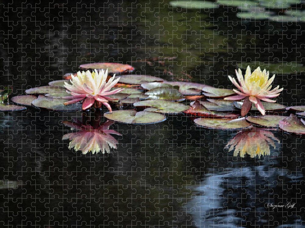 Photograph Jigsaw Puzzle featuring the photograph Early Spring Water Lilies in Pastel by Suzanne Gaff