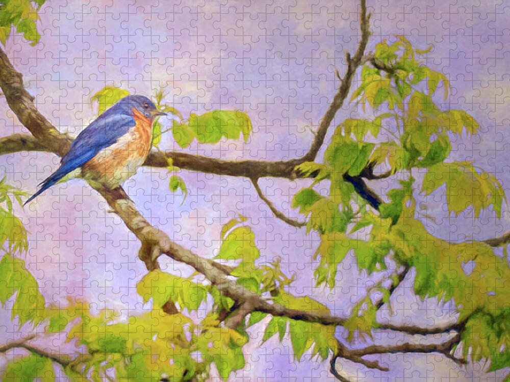 Bird Jigsaw Puzzle featuring the photograph Eastern Blue Bird by Pam DeCamp