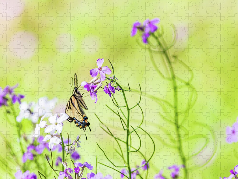 Animals Jigsaw Puzzle featuring the photograph Eastern Tiger Swallowtail Butterfly - Nature Photography by Amelia Pearn