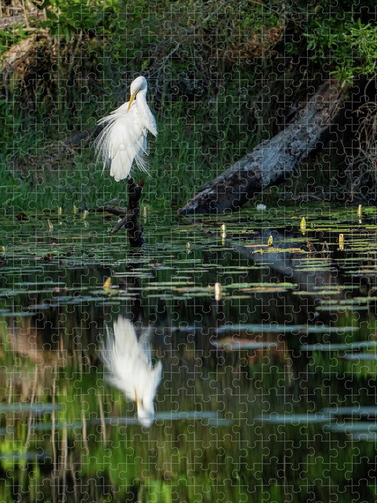 Egret Jigsaw Puzzle featuring the photograph Egret, 4.18.22 by Brad Boland