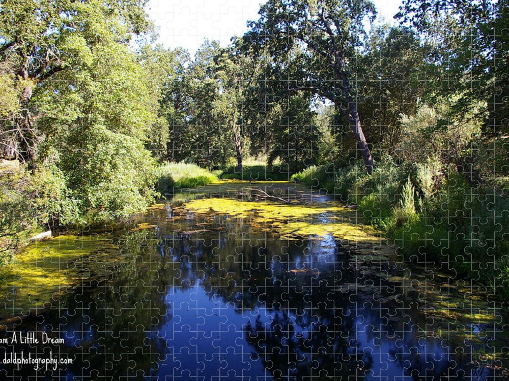  Jigsaw Puzzle featuring the photograph El Dorado Irrigation by Kristy Urain