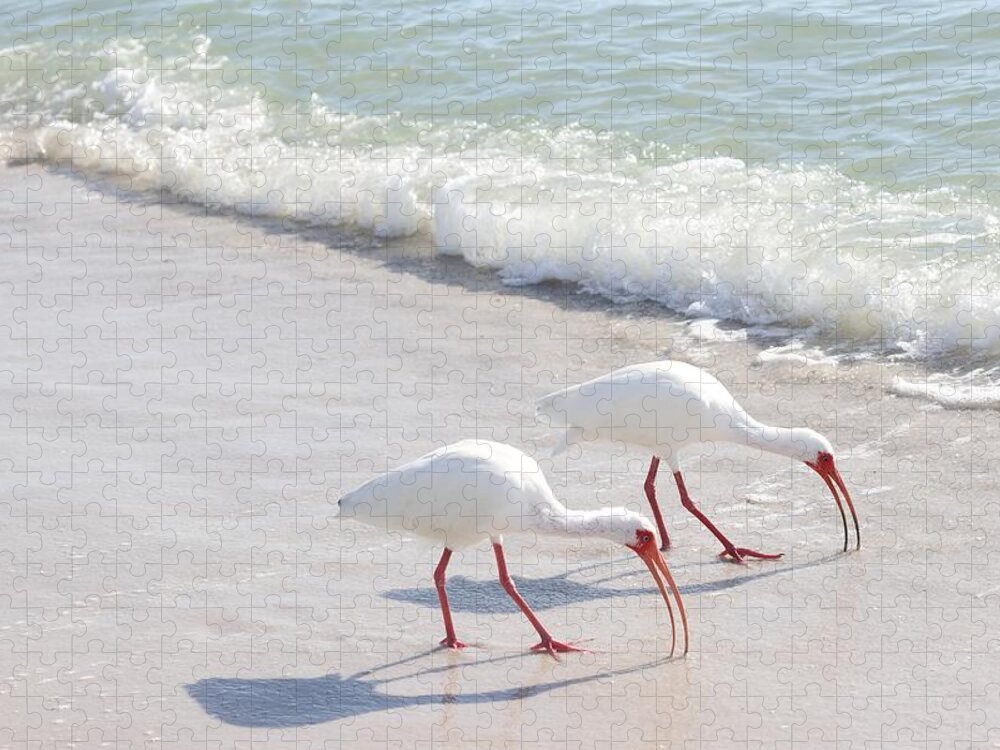 White Ibis Jigsaw Puzzle featuring the photograph Elegantly in Synch by Mingming Jiang