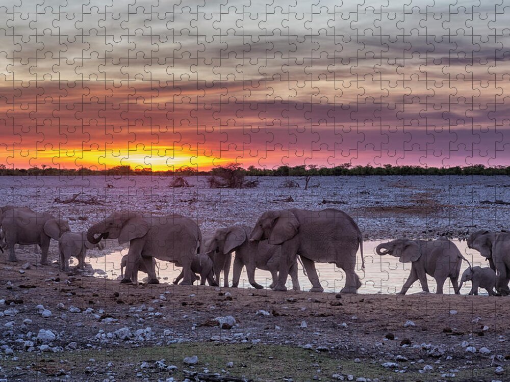 Elephants Jigsaw Puzzle featuring the photograph Elephant Herd at Okaukuejo Waterhole at Sunset by Belinda Greb
