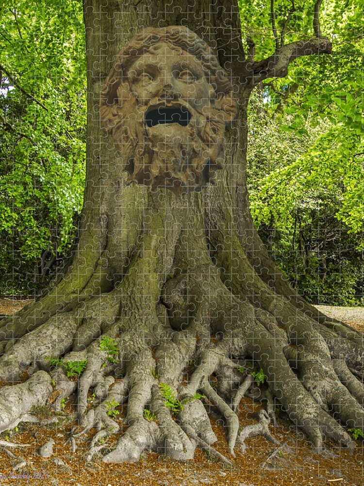 Digital Jigsaw Puzzle featuring the digital art EMA Tree Face by Cindy's Creative Corner