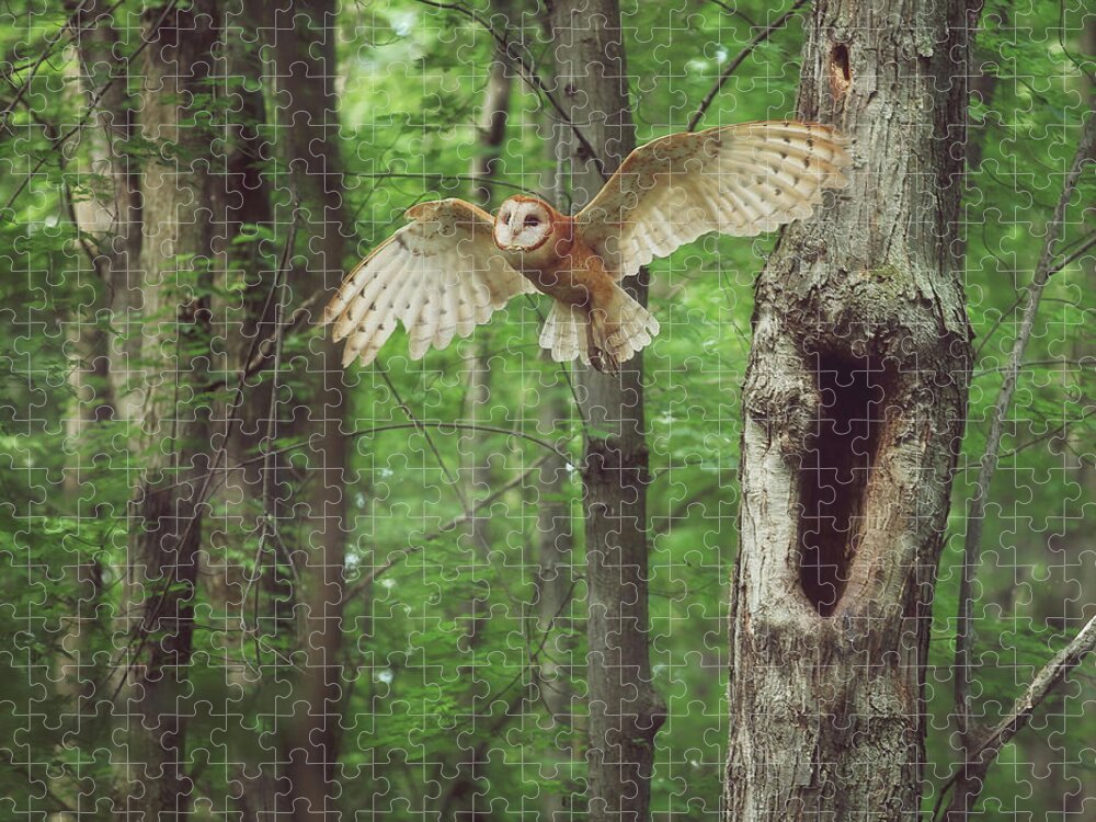 Enchanted Forest Jigsaw Puzzle featuring the photograph Enchanted Forest Cropped Version by Carrie Ann Grippo-Pike