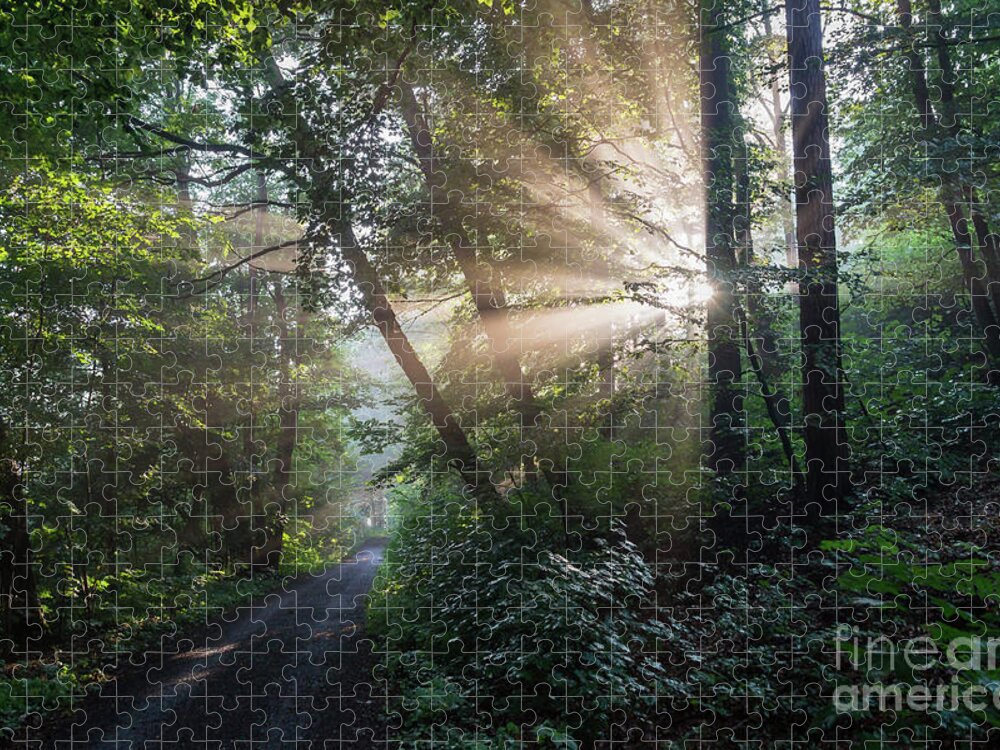 Magic Jigsaw Puzzle featuring the photograph Enchanting sunlight in the forest 2 by Adriana Mueller