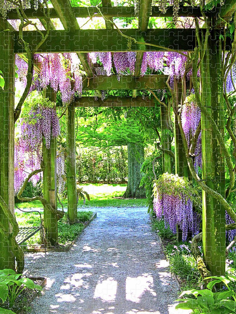 Purple Wisteria Racemes Jigsaw Puzzle featuring the photograph Entranceway to Fantasyland by Susan Maxwell Schmidt