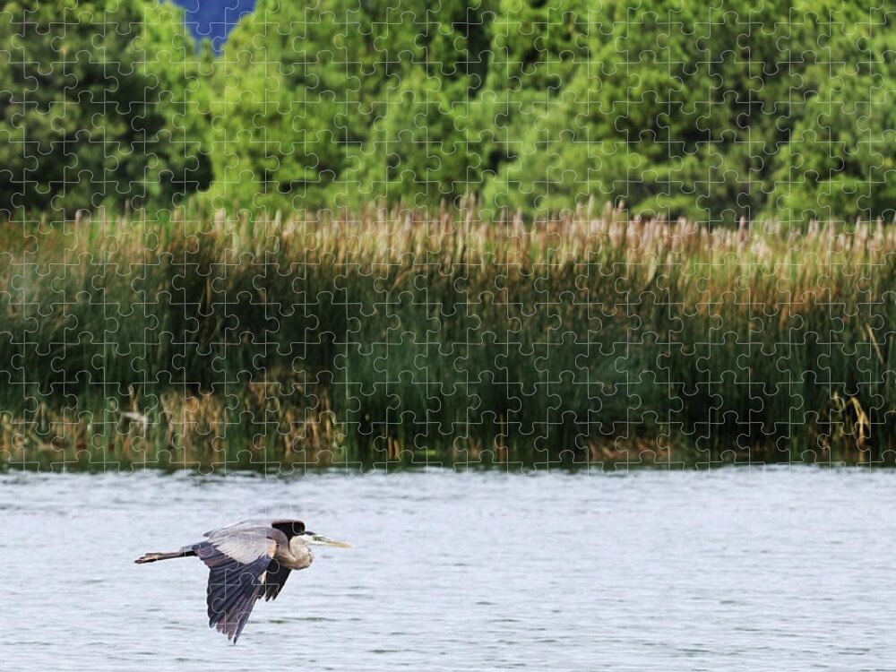 Heron Jigsaw Puzzle featuring the photograph Ephemeral Summer Flight by Laura Putman