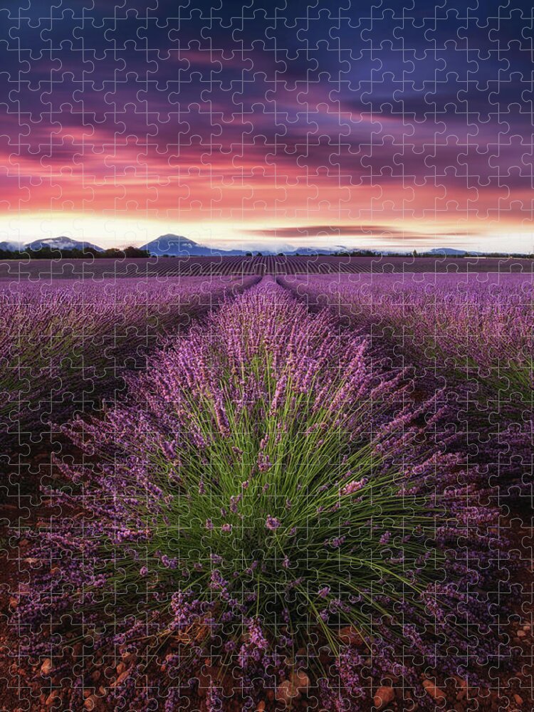 Landscape Jigsaw Puzzle featuring the photograph Epic sunrise by Jorge Maia