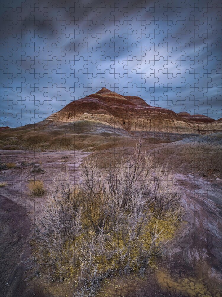~ Beauty Of The Desert ~ Canyonlands Jigsaw Puzzle featuring the photograph Escalante 7 by Robert Fawcett