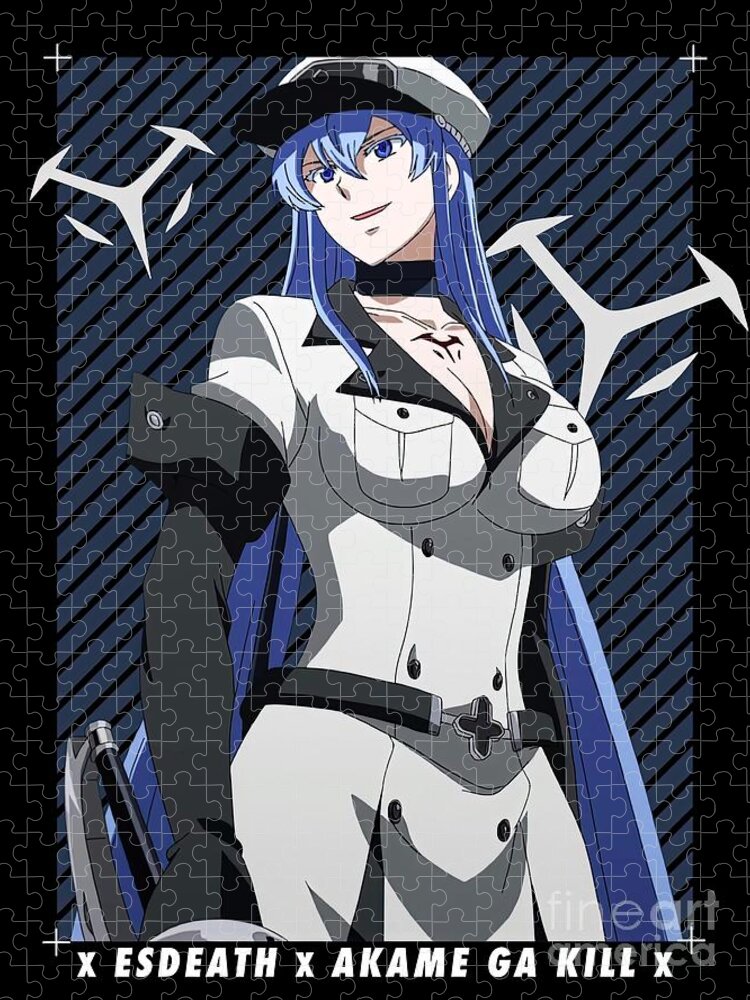 Esdeath has appeared in Akame Zero : r/AkameGaKILL