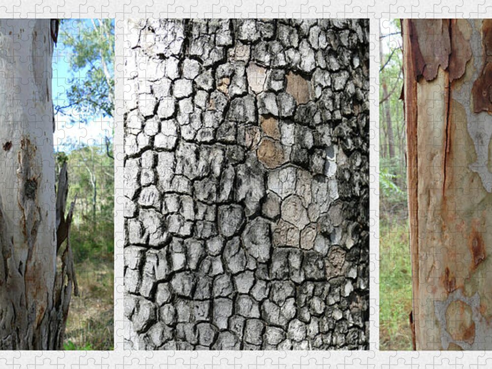 Tree Jigsaw Puzzle featuring the photograph Eucalyptus Bark Tryptich 1 by Maryse Jansen