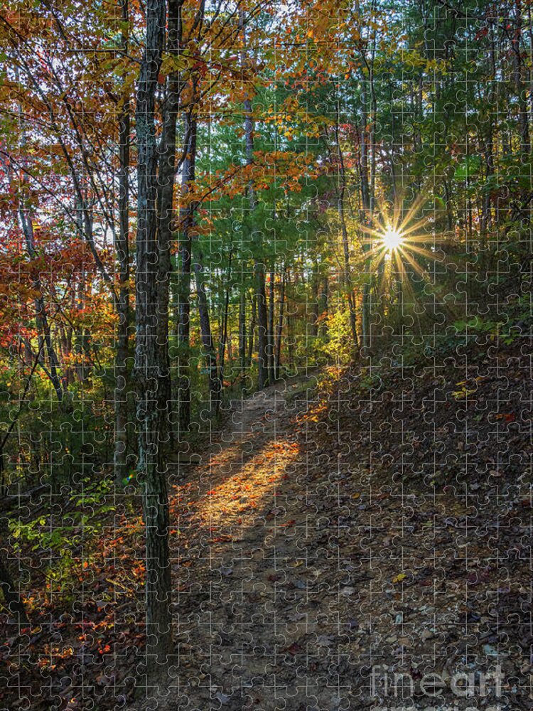 Hiking Jigsaw Puzzle featuring the photograph Evening Fall hike by Barbara Bowen